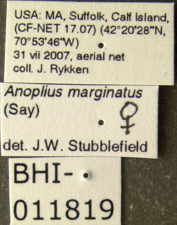 Media type: image;   Entomology 600328 Aspect: labels